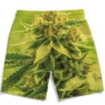 Amazing Marijuana Weed Top Bud Cola Print Men's Boardshorts
