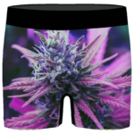 THC Cannabis Plant 420 Weed Vibrant Marijuana Men's Boxers