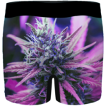 THC Cannabis Plant 420 Weed Vibrant Marijuana Men's Boxers