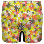 Weed Hemp Marijuana Pattern Colorful All Over Print Men's Brief