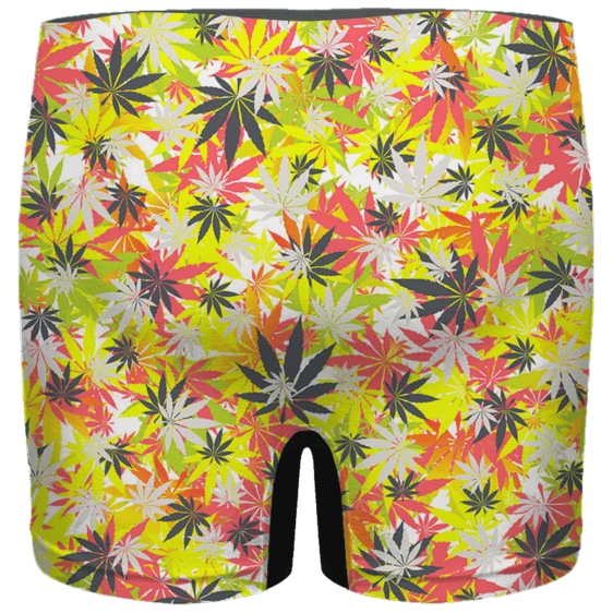 Weed Hemp Marijuana Pattern Colorful All Over Print Men's Brief