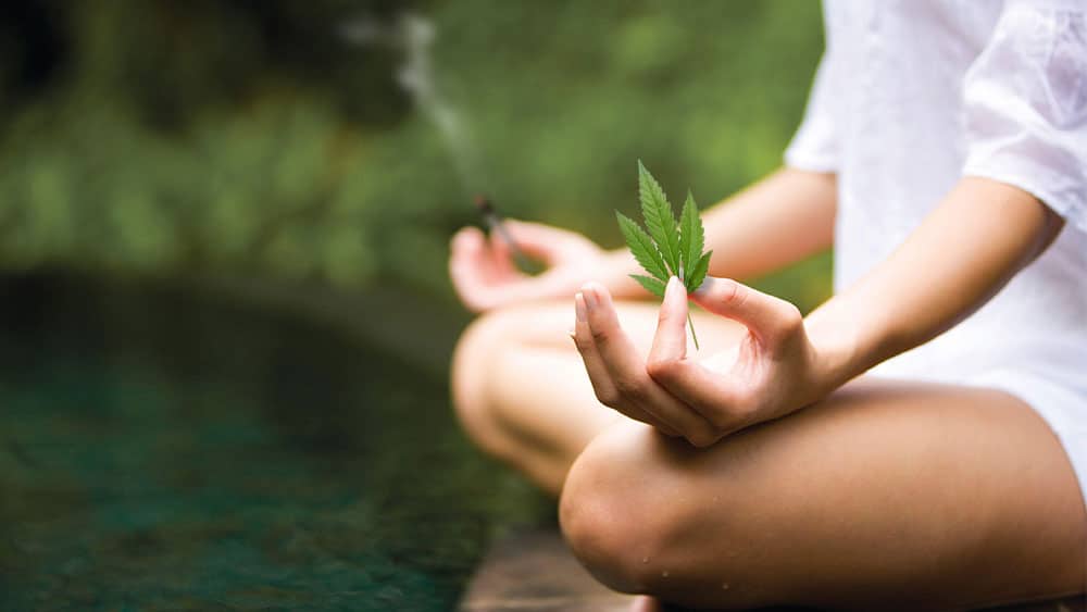 Mindfulness and Cannabis A Match Made in Heaven